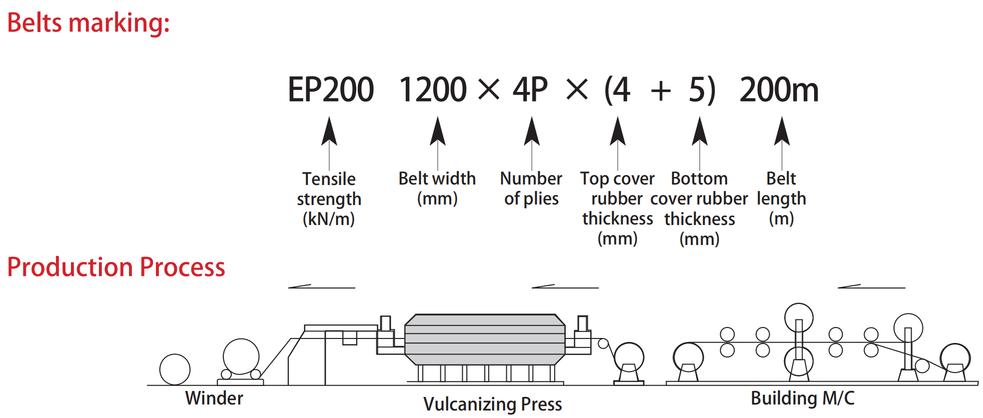 Bare back belt conveyor belt with fabric bottom - Monster belting